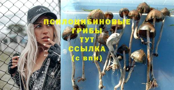 mix Иннополис