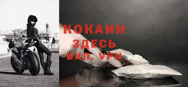 бошки Инта