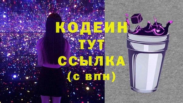 шишки Тихвин