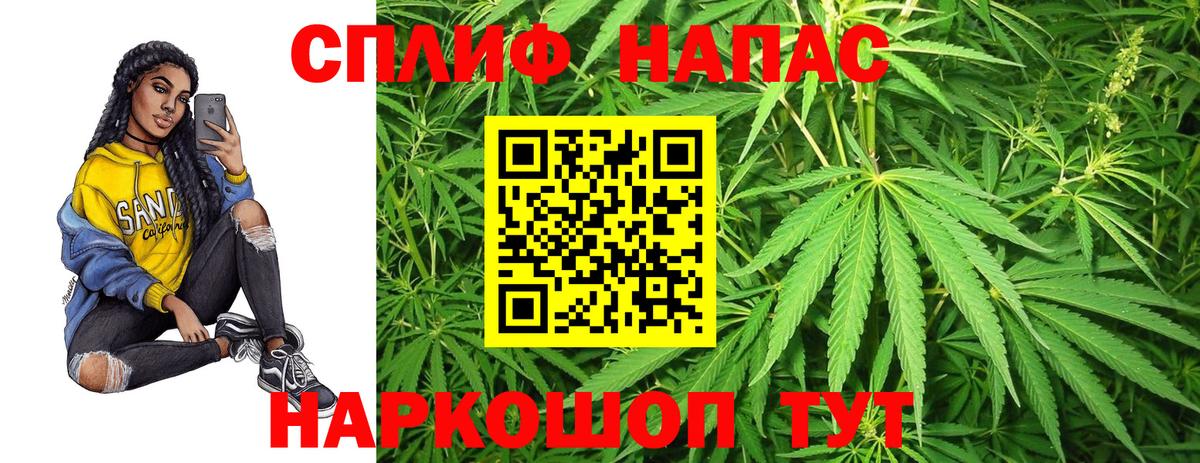 Конопля гибрид  Канабис White Widow  Славгород  Каннабис тримм  Вход с VPN  МАРИХУАНА VHQ 